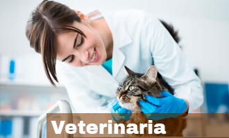 banner-cursos-baremables-veterinaria