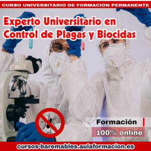 experto-universitario-en-control-de-plagas-y-biocidas
