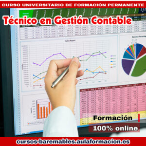 tecnico-en-gestion-contable