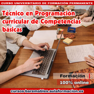 tecnico-en-programacion-curricular-de-competencias-basicas