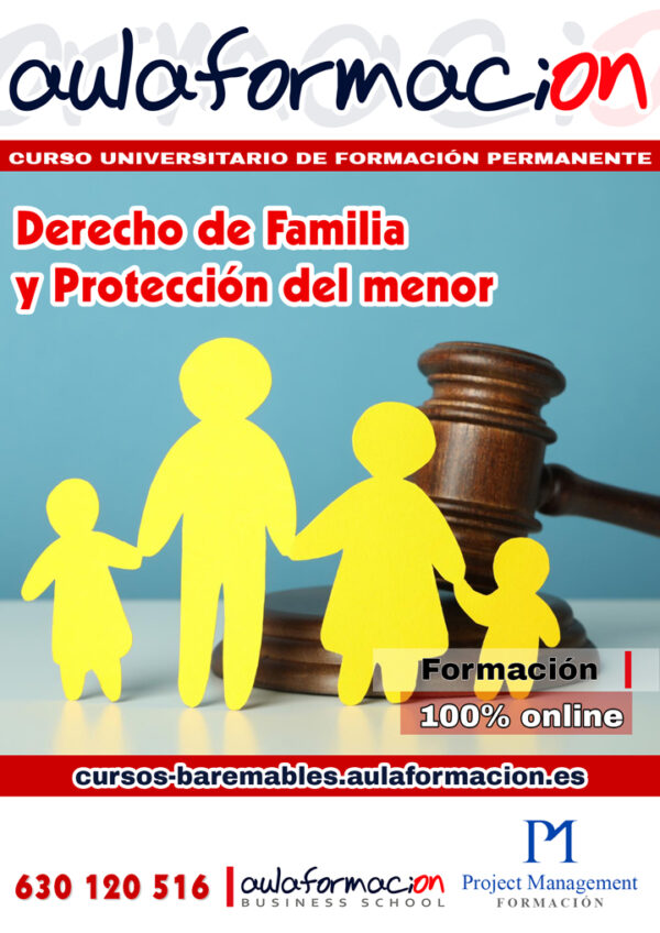 Derecho de Familia y de protección del menor