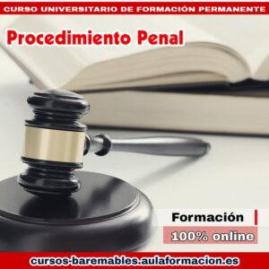 curso-universitario-especializacion-procedimiento-penal