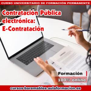 curso-universitario-contratacion-publica-electronica-e.contratacion