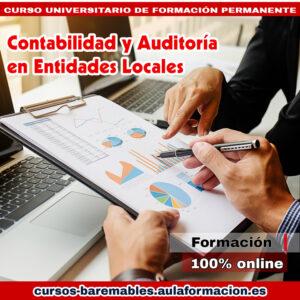 curso-universitario-contabilidad-auditoria-entidades-locales