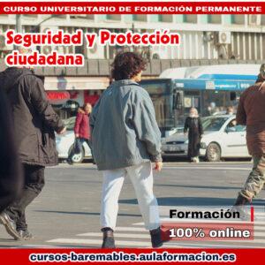 curso-universitario-seguridad-proteccion-ciudadana
