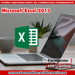 curso-universitario-microsoft-excel-2013