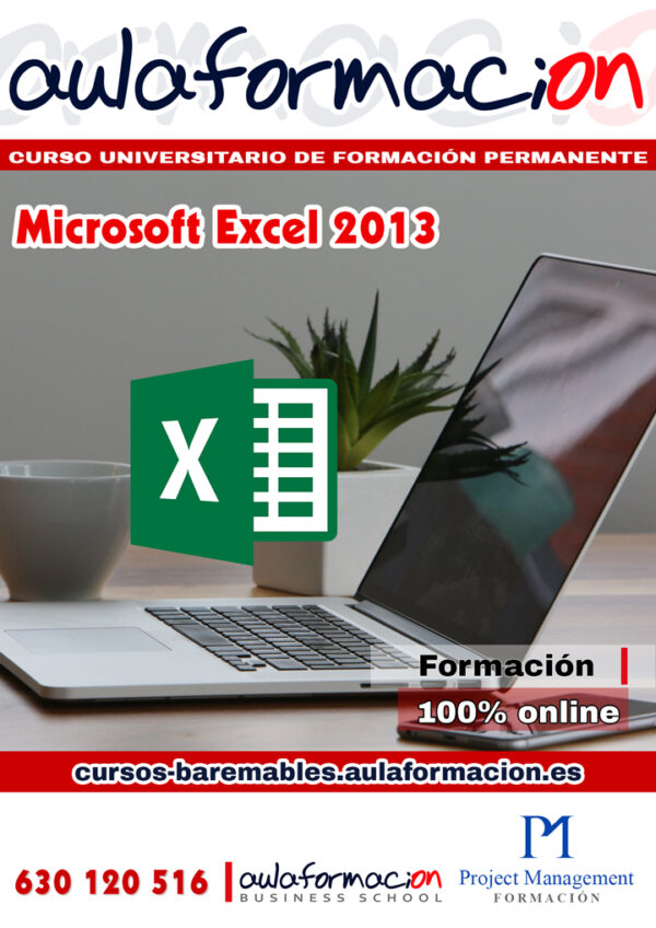curso-universitario-microsoft-excel-2013