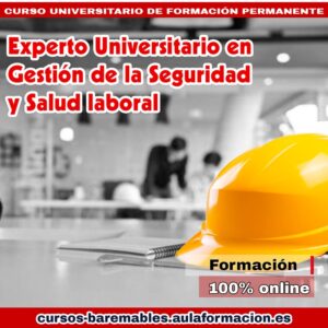 experto-universitario-en-gestion-de-la-salud-y-seguridad-laboral