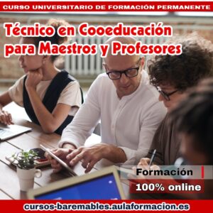 tecnico-en-cooeducacion-para-maestros-y-profesores