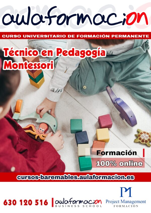 tecnico-en-pedagogia-montessori