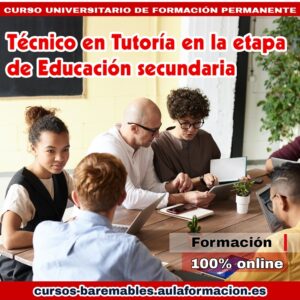 tecnico-en-tutoria-en-la-etapa-de-educacion-secundaria