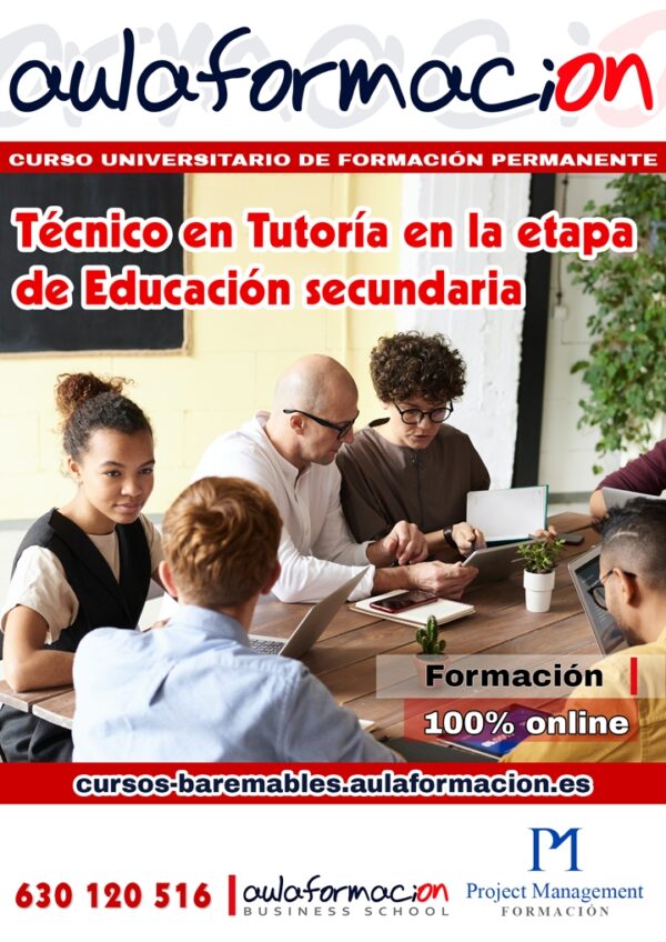 tecnico-en-tutoria-en-la-etapa-de-educacion-secundaria