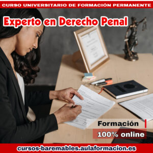 Experto en Derecho Penal. Cursos para jueces