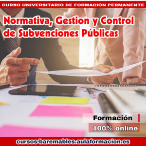 curso subvenciones públicas