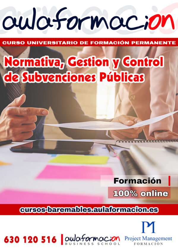 curso subvenciones públicas