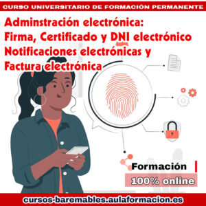 curso administración electrónica