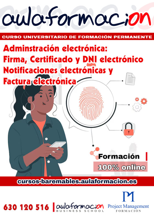 curso administración electrónica