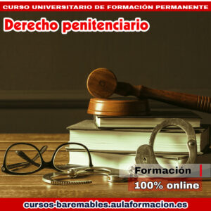 Curso Derecho penitenciario