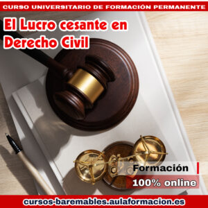 curso el lucro cesante