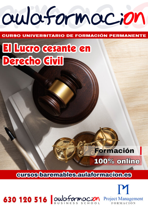 curso el lucro cesante