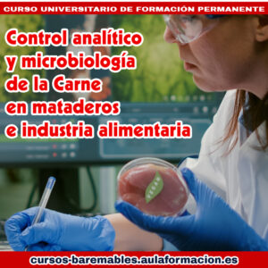 curso control analitico y microbiologia carne en mataderos e industria alimentaria