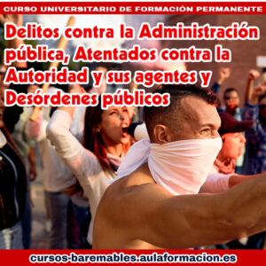 Curso Delitos contra la Administración Pública