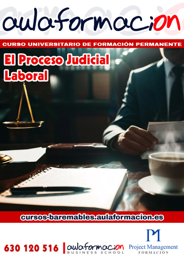 Curso El proceso Judicial laboral