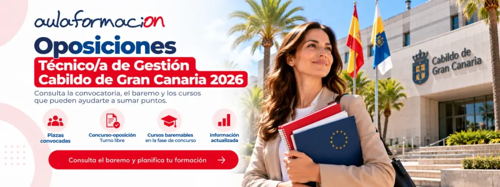 técnico de gestión del cabildo de gran canaria