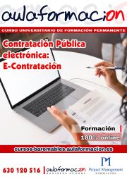 curso-universitario-contratacion-publica-electronica-e.contratacion