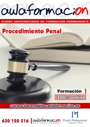 curso-universitario-especializacion-procedimiento-penal curso-universitario-especializacion-procedimiento-penal