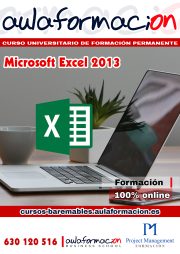 curso-universitario-microsoft-excel-2013