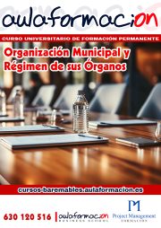 curso-universitario-organizacion-municipal-regimen-organos