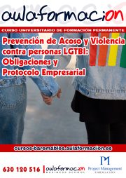 Formación Básica en Prevención de Acoso y Violencia contra Personas LGTBI: Obligaciones y Protocolo Empresarial