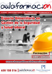 experto-universitario-en-gestion-de-la-salud-y-seguridad-laboral