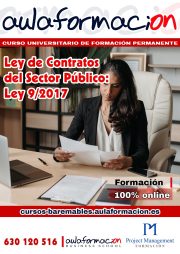 ley-de-contratos-del-sector-publico-ley-9-2017
