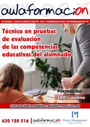 tecnico-en-pruebas-de-evaluacion-de-las-competencias-educativas-del-alumnado