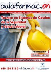 tecnico-en-sistemas-de-gestion-de-la-salud-y-la-seguridad-laboral
