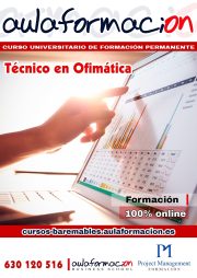 tecnico-ofimatica